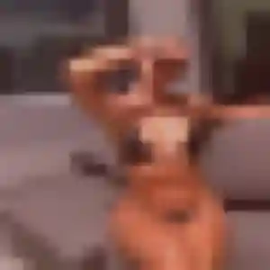 Photo exclusive de Zoe, 43 ans à Laval-sur-Vologne - rencontre sans lendemain