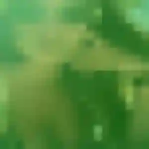 Photo de Rosalie à Lavoûte-sur-Loire (37 ans) - plan cul discret