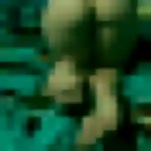 Photo de Anne-Laure à Le Boulay-Morin (27 ans) - plan cul anonyme