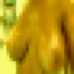 Photo privée de Amandine, 41 ans à Le Broc - rencontre sans lendemain