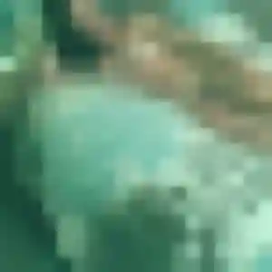 Contacte Aisha, 24 ans à Le Hézo gratuitement
