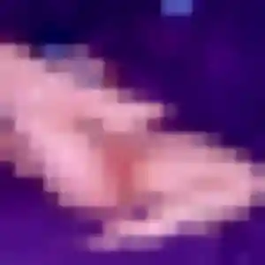 Photo de Deborah à Le Lorey (38 ans) - plan cul discret