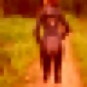 Photo de Zara à Le Pizou (32 ans) - plan cul discret