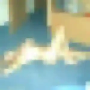 Photo sexy de Rym, 45 ans à Le Pradet - rencontre coquine