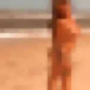 Photo de Chloe à Le Revest-les-Eaux (38 ans) - plan cul discret