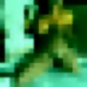 Photo de Chiara à Le Tilleul (25 ans) - plan cul anonyme
