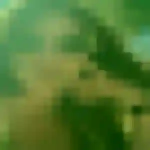 Découvre Ximena, 45 ans à Ledringhem en t'inscrivant