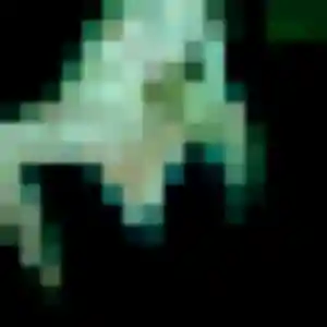 Sexy Stephanie, 37 ans à Léguevin - voir sa photo