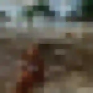 Photo privée de Berenice, 37 ans à Léojac - rencontre sans lendemain