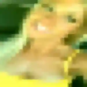 Belle Angelique, 32 ans à Lérouville - voir sa photo