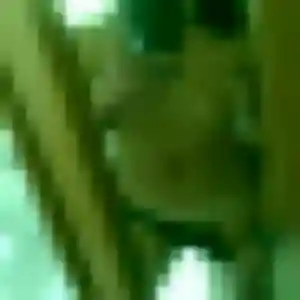 Tatyana, 27 ans, dispo pour plan cul à Les Ancizes-Comps