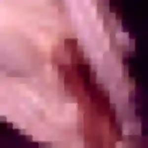 Photo perso de Morgane, 31 ans à Les Baux-Sainte-Croix - rencontre coquine