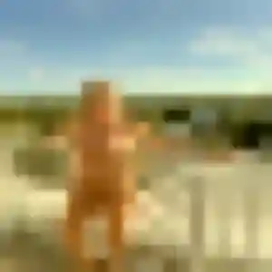 Photo de Ines à Les Bordes (25 ans) - plan cul anonyme