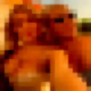 Photo exclusive de Zelda, 39 ans à Les Essarts-le-Roi - plan discret