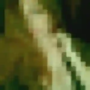 Photo exclusive de Candice, 23 ans à Libercourt - rencontre coquine