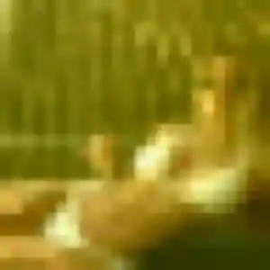 Photo de Alix à Ligny-le-Châtel (39 ans) - plan cul discret
