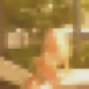 Profil de Nadine à Limay (43 ans) - plan cul anonyme