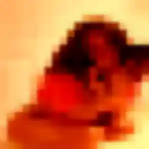 Sexy Cassandre, 33 ans à Livron-sur-Drôme - voir sa photo