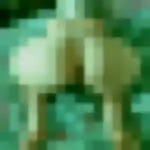 Photo de Lilou à Locmiquélic (23 ans) - plan cul gratuit