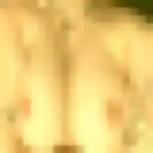 Rosemarie, 27 ans, disponible à Logelheim pour une rencontre coquine