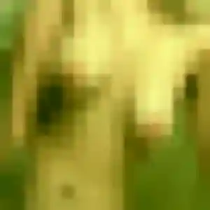 Alessandra, 24 ans, dispo pour plan cul à Loire-sur-Rhône