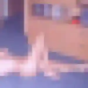 Wilhelmine, 37 ans, connectée à Lombez pour une rencontre coquine