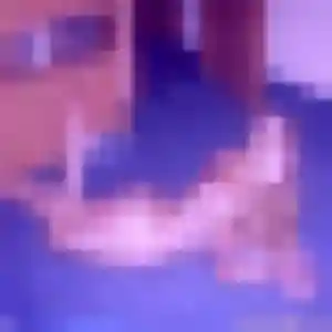 Catherine, fille de 31 ans cherche plan cul à Longèves