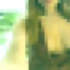 Domitille, femme de 24 ans cherche plan cul à Loriol-du-Comtat