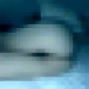 Ambre, 26 ans, en ligne à Los Masos pour une rencontre coquine