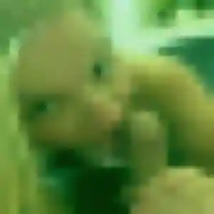 Photo de Touria à Louargat (27 ans) - plan cul discret