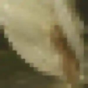 Photo perso de Marie-Laure, 28 ans à Louches - rencontre coquine
