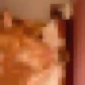 Rejoins Fanny, 25 ans à Lucciana en privé