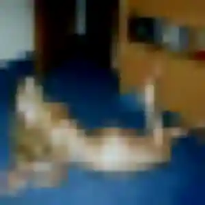 Découvre Ximena, 22 ans à Macouria en privé