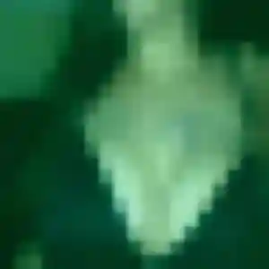 Karine, 42 ans, dispo pour plan cul à Malataverne