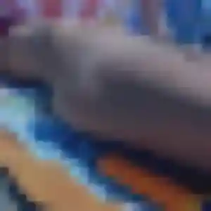 Photo de Emma à Marolles (24 ans) - plan cul gratuit