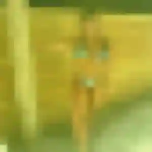 Belle Brune, 22 ans à Massérac - la contacter