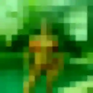 Photo de Lucie à Mesnil-Panneville (45 ans) - plan cul anonyme