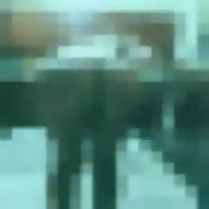 Photo privée de Lamia, 27 ans à Mesnil-Raoul - rencontre sans lendemain