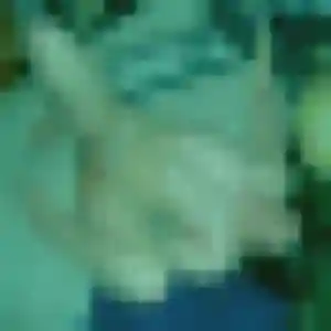 Profil de Nathalie à Meyreuil (43 ans) - plan cul anonyme