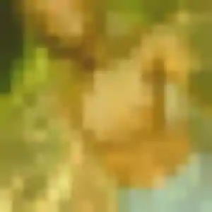 Faustine, 36 ans, dispo pour plan cul à Mézières-sous-Lavardin