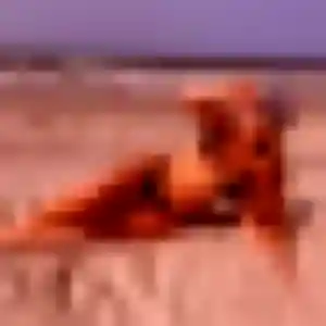 Photo de Zina à Millançay (44 ans) - plan cul discret