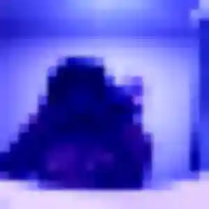 Jolie Alessandra, 43 ans à Moineville - la contacter
