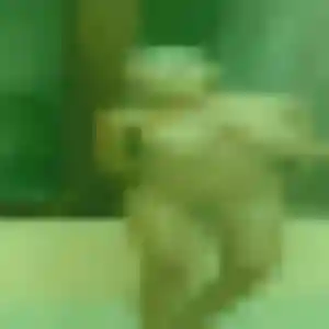Zina, femme de 44 ans cherche plan cul à Molles