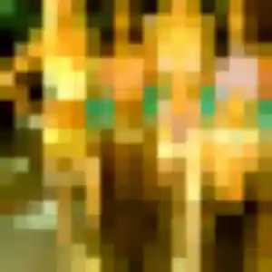 Photo exclusive de Clara, 27 ans à Molliens-Dreuil - rencontre sans lendemain