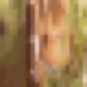 Typhaine, 28 ans, disponible à Monswiller pour une rencontre coquine