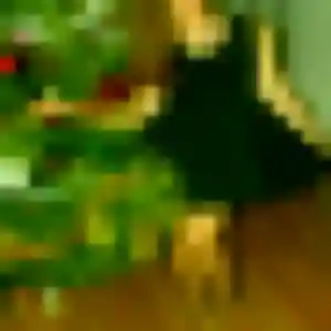 Gwendoline, 41 ans, dispo pour plan cul à Mont-Saint-Aignan
