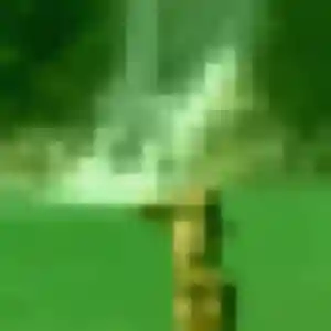 Photo de Ursule à Montbartier (28 ans) - plan cul anonyme
