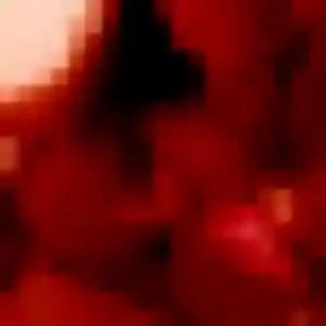 Charmante Daniela, 24 ans à Montbonnot-Saint-Martin - découvrir son profil