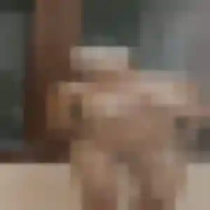 Photo privée de Audrey, 22 ans à Montchenu - rencontre coquine