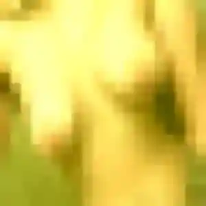 Eglantine, 45 ans, disponible à Montchevreuil pour un plan cul
